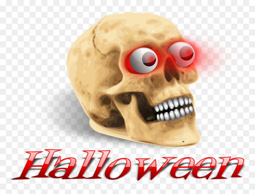 Head,skeleton,skull - Human Skull, HD Png Download - skull png images