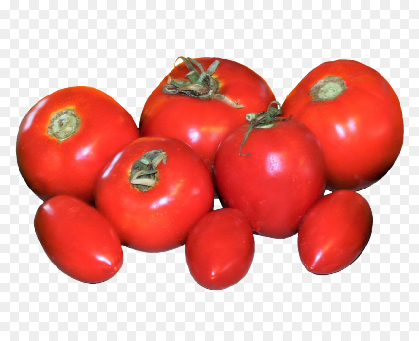 Fresh Tomatoes Clipart - Plum Tomato, HD Png Download - tomato clipart png