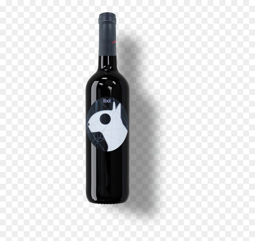 Tg1, HD Png Download - red grapes png