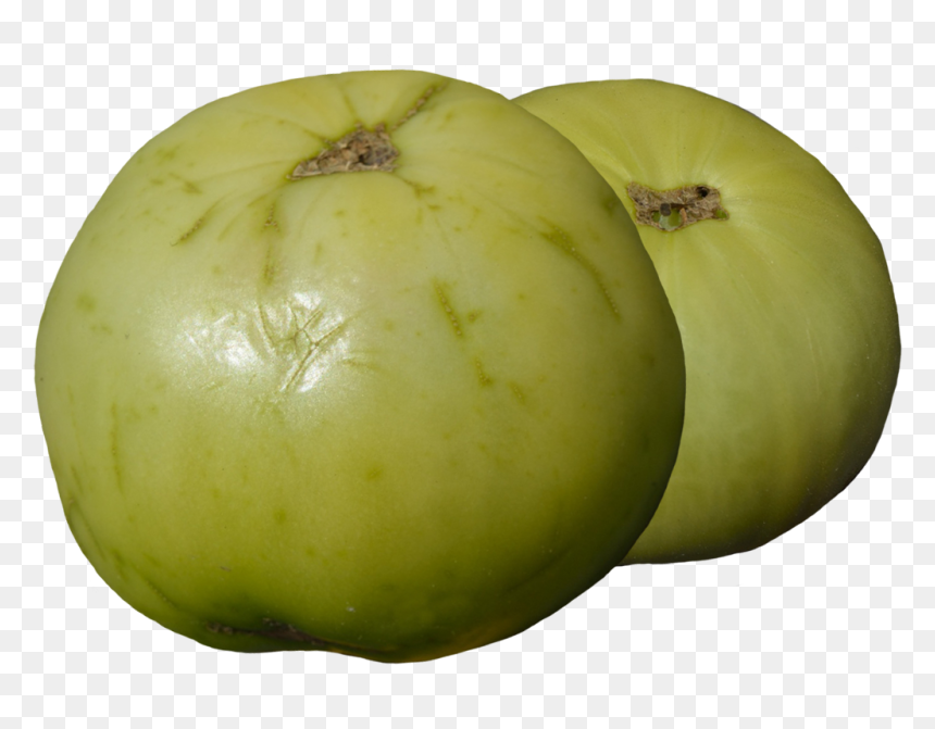 Clipart Two Green Tomatoes - Tomato, HD Png Download - tomato clipart png