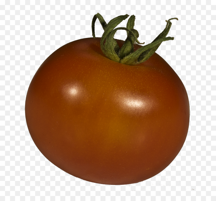 Free Photo Tomato Solanum Lycopersicum Grown Xitomatl - Plum Tomato, HD Png Download - tomato clipart png