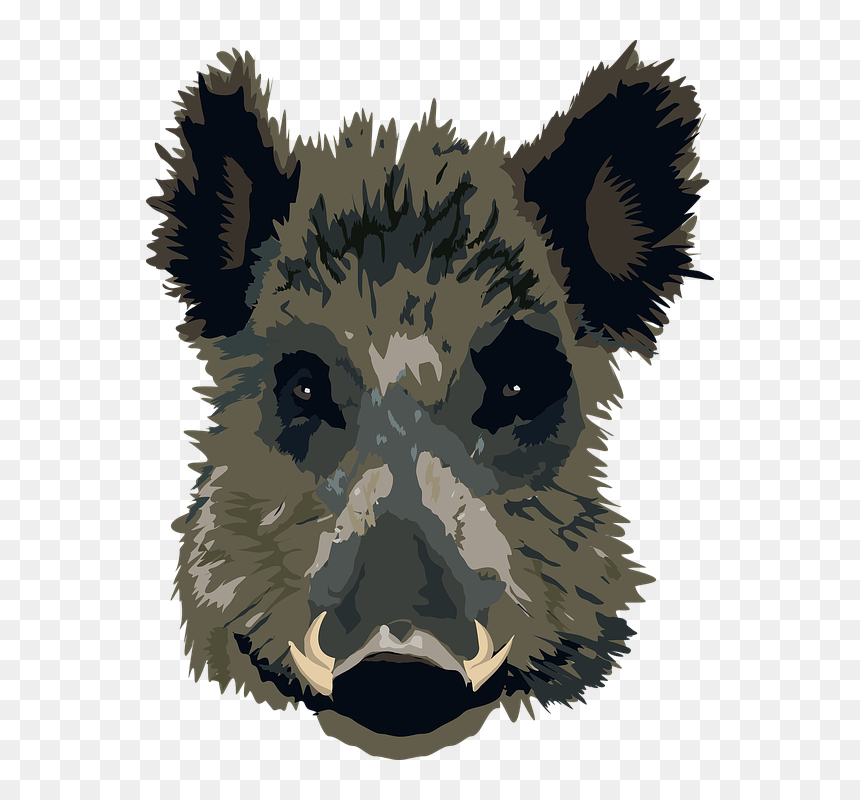 Wild Boar Clipart, HD Png Download - pig head png
