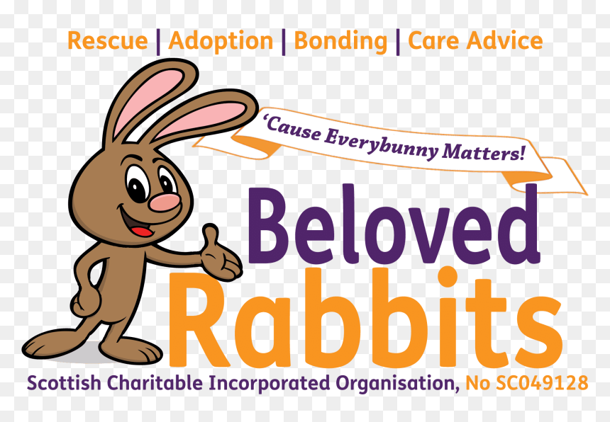 Beloved Rabbits - Cartoon, HD Png Download - rabbit png transparent