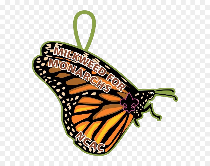 National Capital Area Council - Monarch Butterfly, HD Png Download - monarch butterflies png