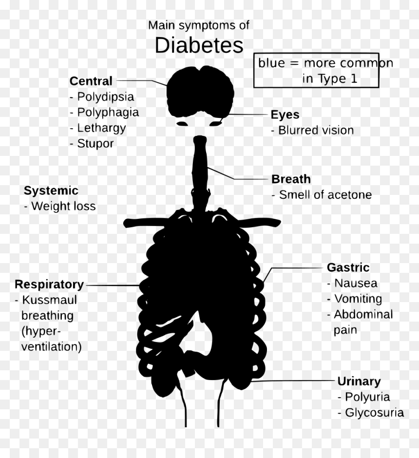 Complications Of Diabetes Drawing, HD Png Download - breathing png