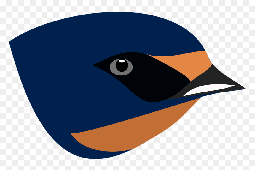 Swallow Bird Head Png, Transparent Png - face profile png