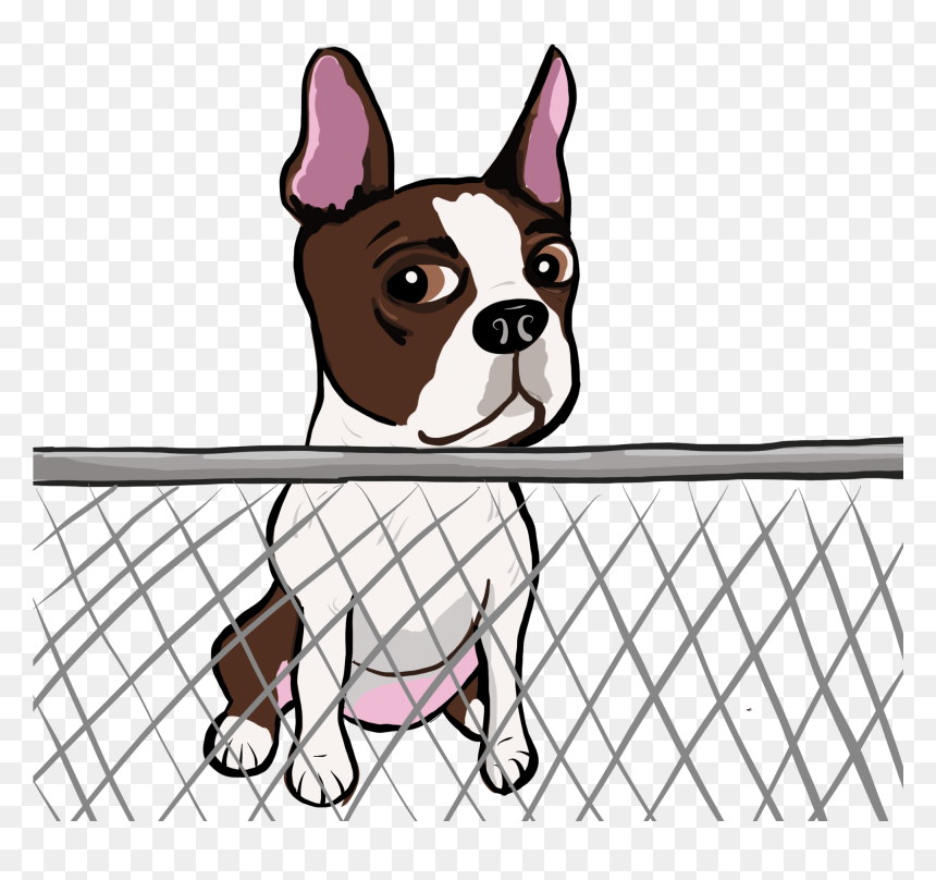 Graphic Black And White Stock Pictures Certapet - Stirling Castle, HD Png Download - dog png image