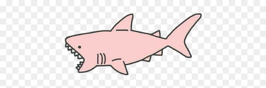 #tiburon - Pink Shark Transparent, HD Png Download - tiburon png