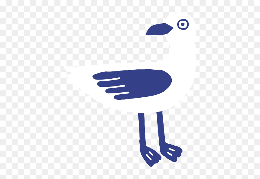 Bird, HD Png Download - tiburon png