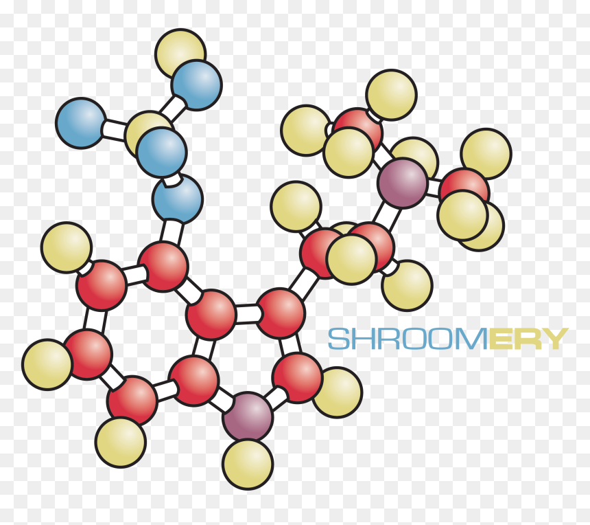 Circle, HD Png Download - light .png