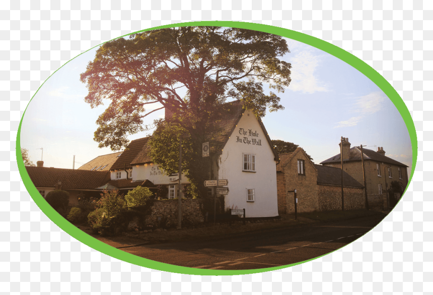 Tree, HD Png Download - hole in the wall png
