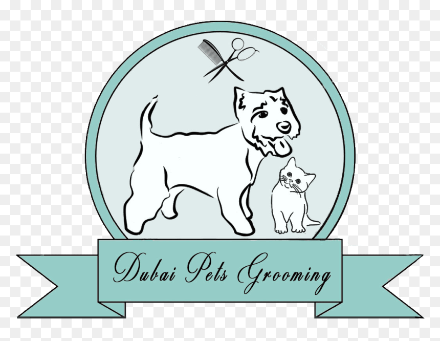 Img - Standard Schnauzer, HD Png Download - dog bath png