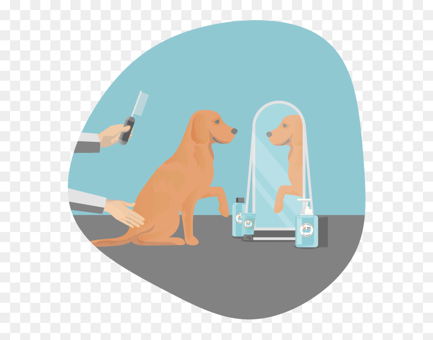 Grooming - Redbone Coonhound, HD Png Download - dog bath png