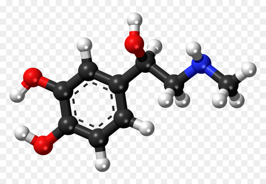 Adrenaline Molecule, HD Png Download - epipen png