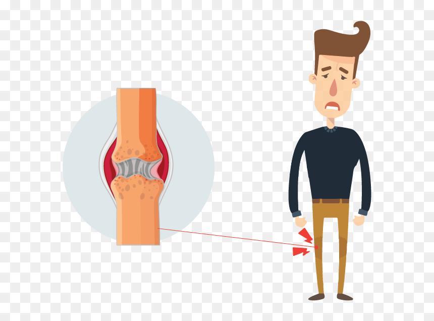 Transparent Knee Clipart - Knee, HD Png Download - png body parts