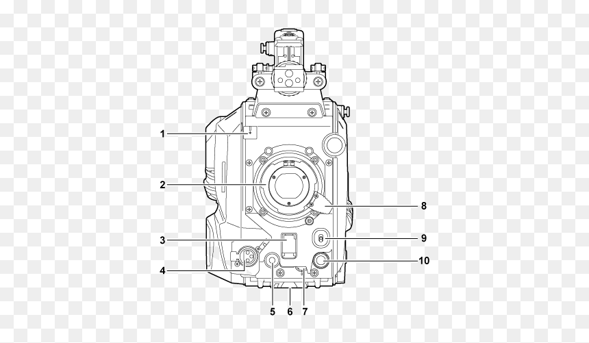 Body Parts Frontside - Illustration, HD Png Download - png body parts
