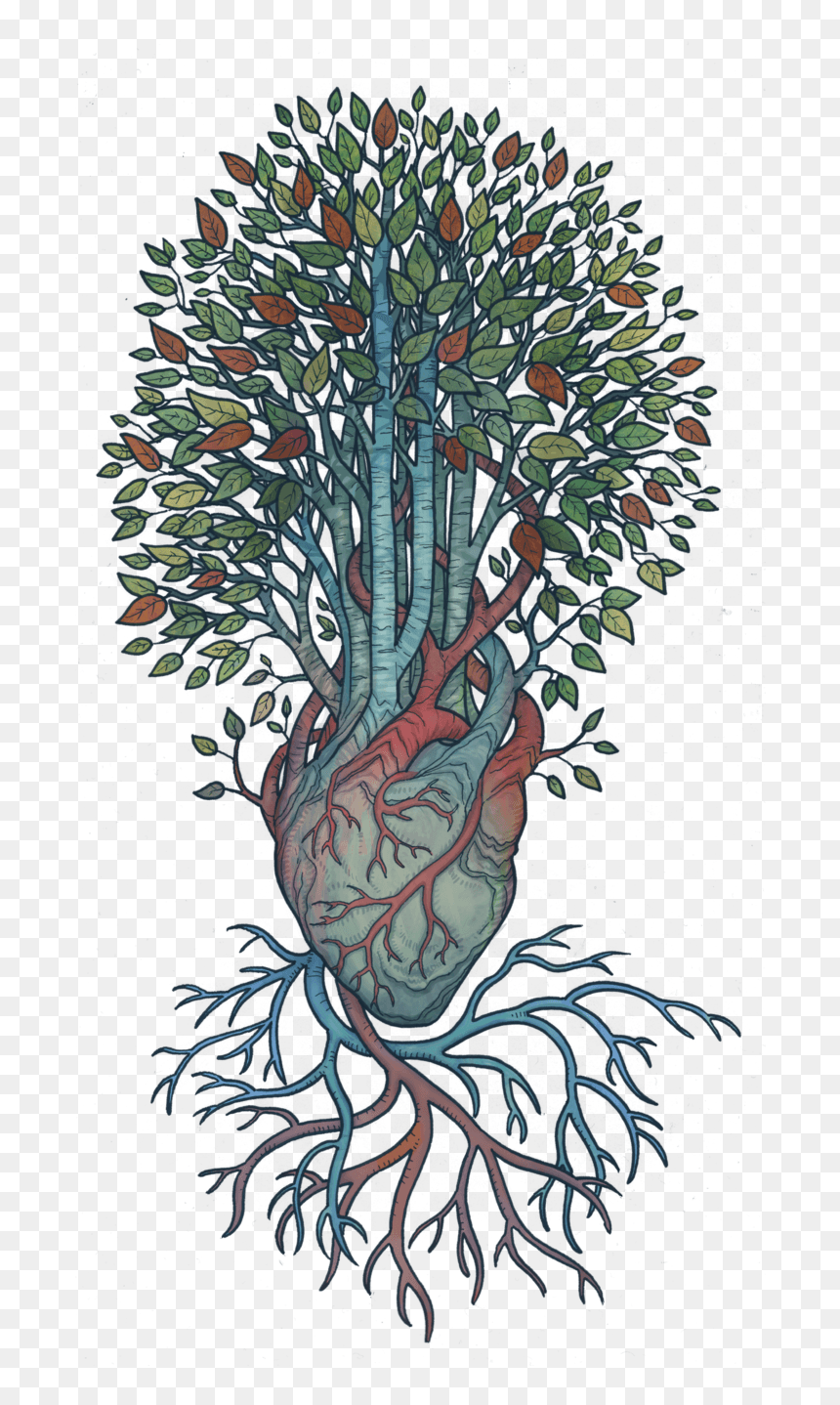 Illustration, HD Png Download - birch trees png