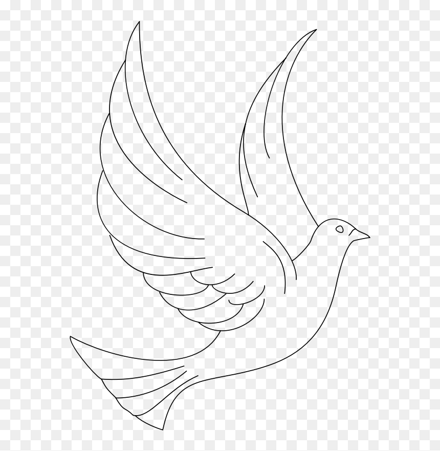 Clipart - Colombe - Sketch, HD Png Download - dove .png