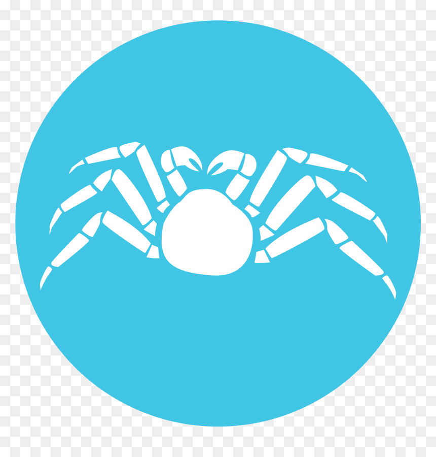 Social Media Icons Single, HD Png Download - mr crabs png