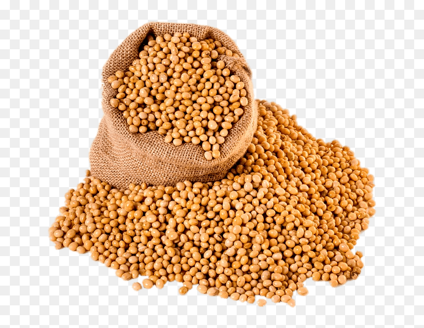 Bag Of Soybeans - Soy Beans Cup, HD Png Download - soybeans png