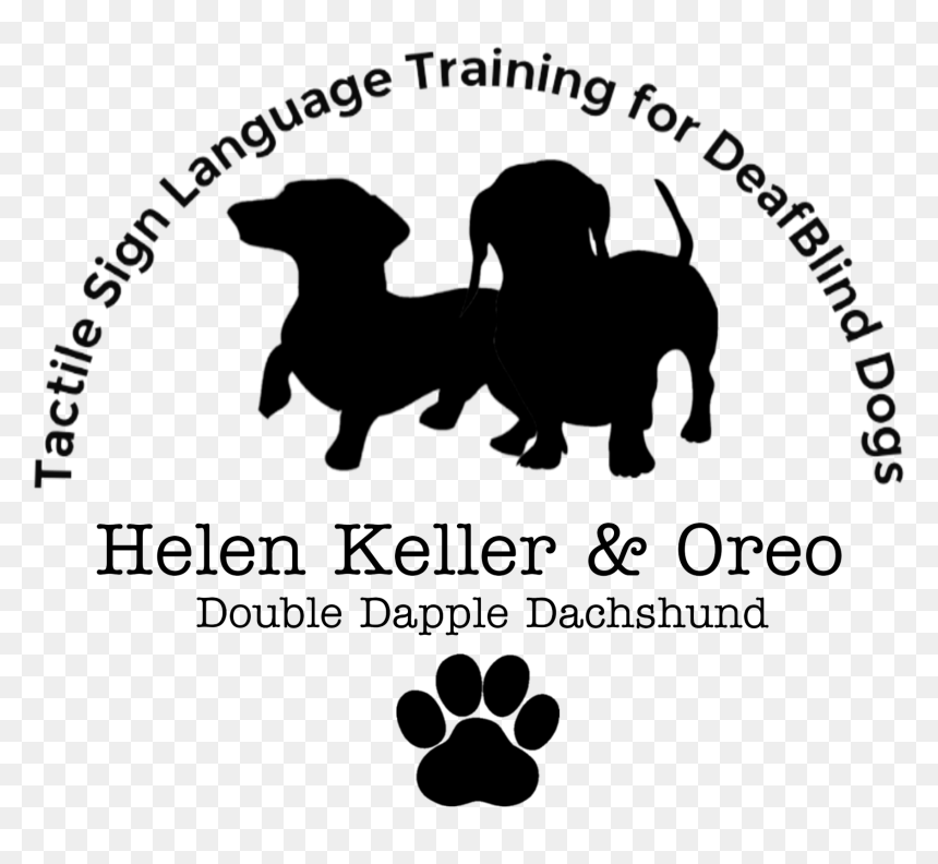Perros Salchichas Silueta, HD Png Download - helen keller png