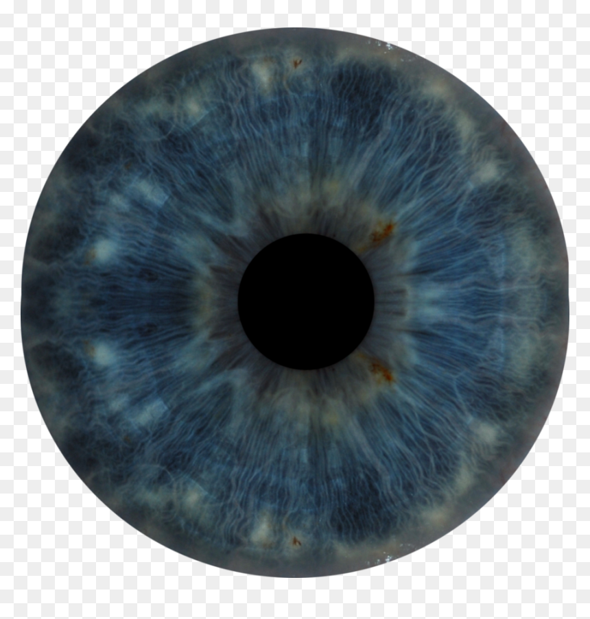 Eyeball Clipart Eye Surgery - Eye Iris Anatomy, HD Png Download - eye iris png