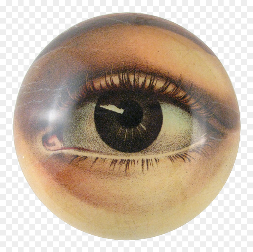 John Derian Eye, HD Png Download - eye iris png