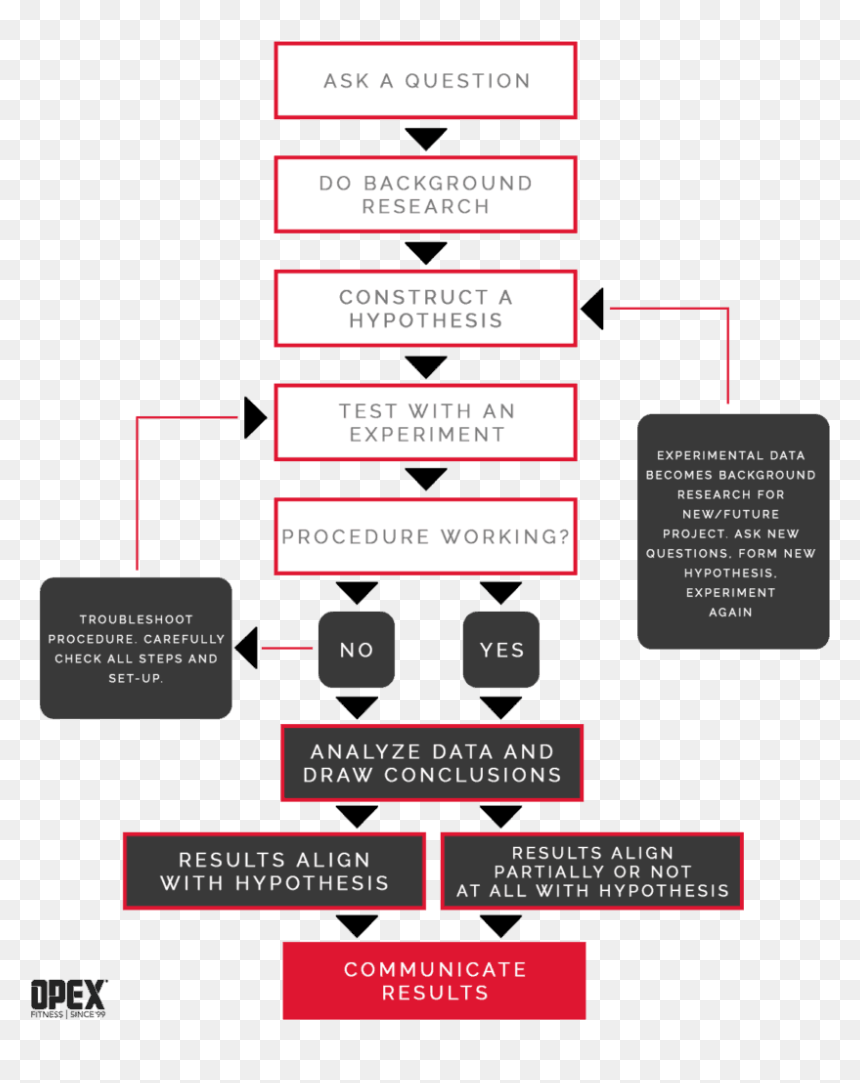 Carmine, HD Png Download - scientific method png