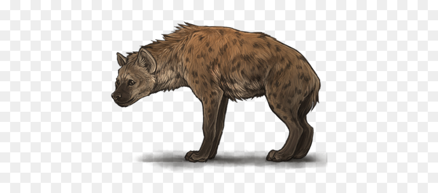 Download Hyena Png Transparent Images Transparent Backgrounds - Hyena Png, Png Download - wild animal png