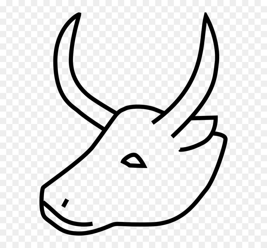 Buffalo, Animal, Wildlife, Wild Ox, Black And White - Horn Animal Black And White, HD Png Download - wild animal png