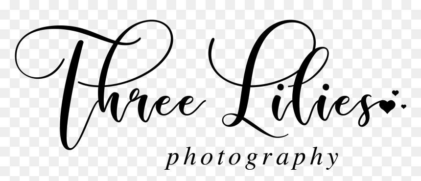 Calligraphy, HD Png Download - wedding doves png