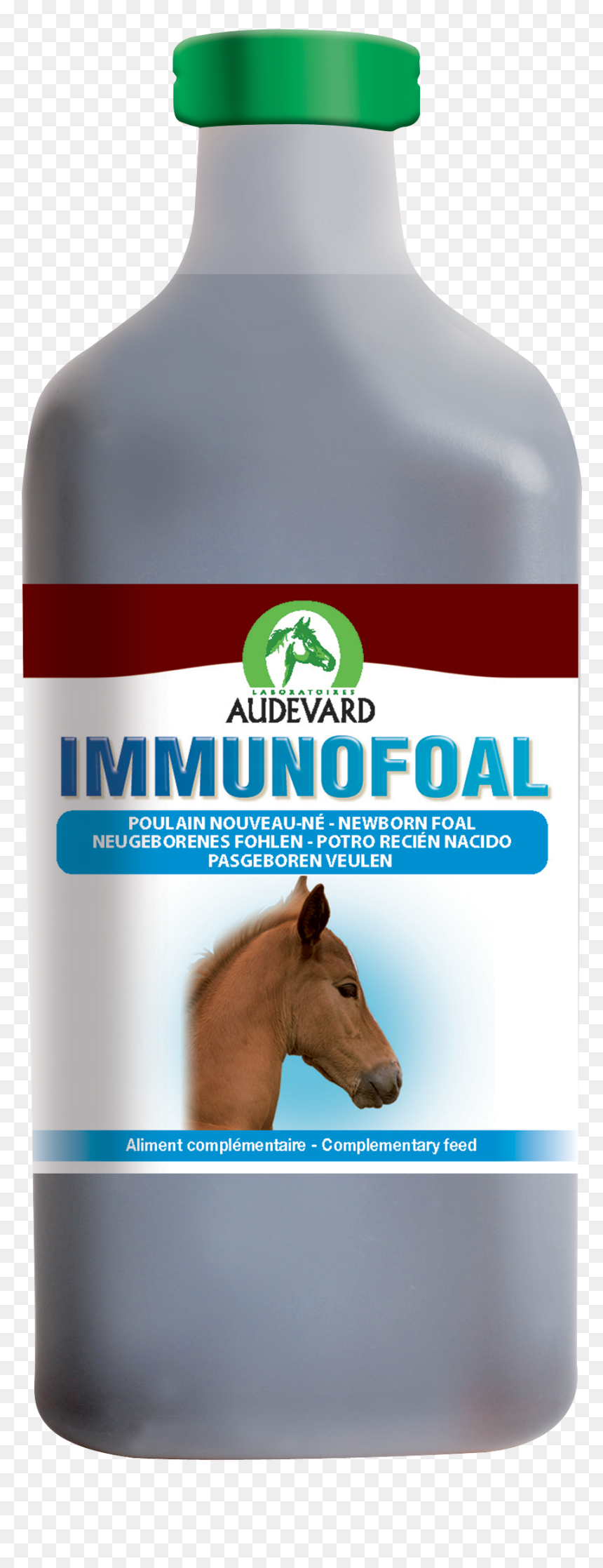 Immunofoal Audevard, HD Png Download - foal png