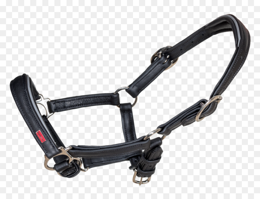 Soft Comfort Leather Foal Halter - Halter, HD Png Download - foal png