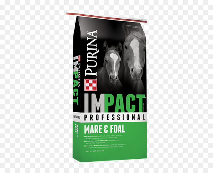 Purina Impact Professional Mare & Foal Horse Feed - Purina Pink 50, HD Png Download - foal png