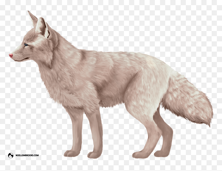 Miko The Champagne-colored Ranched Red Fox - Swift Fox, HD Png Download - champagne png transparent