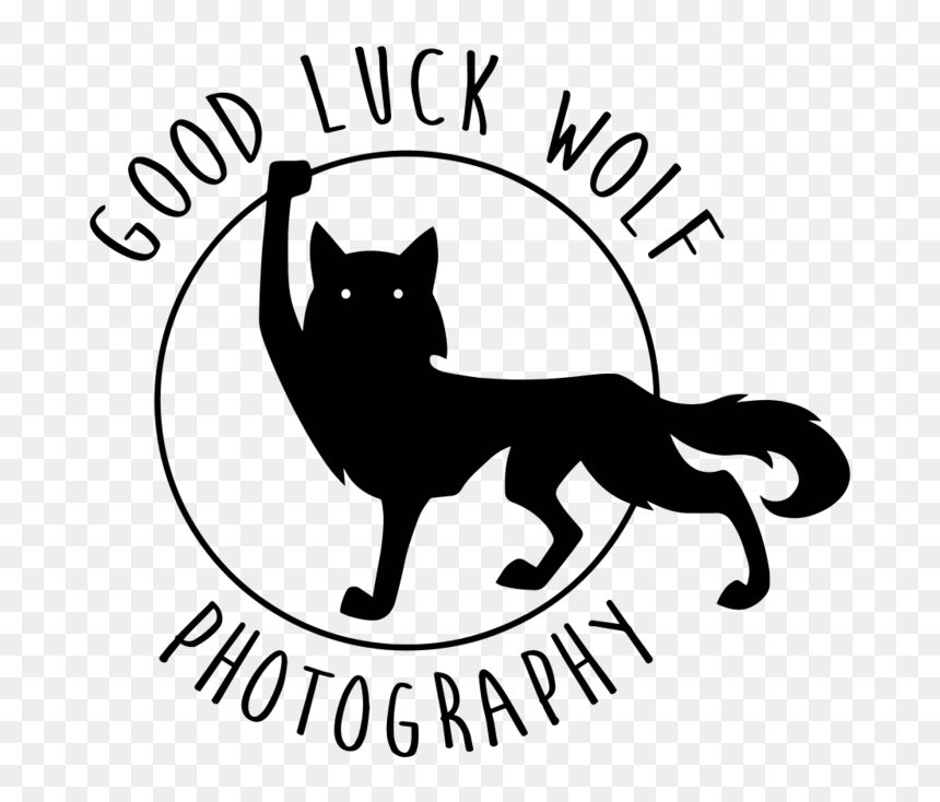 Good Luck Wolf Photography, HD Png Download - baby wolf png