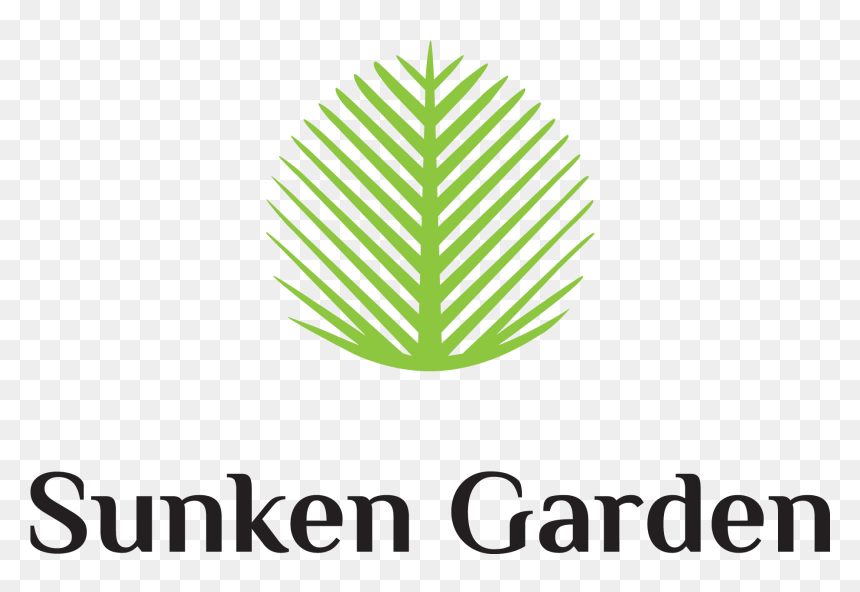 Illustration, HD Png Download - palm tree top view png