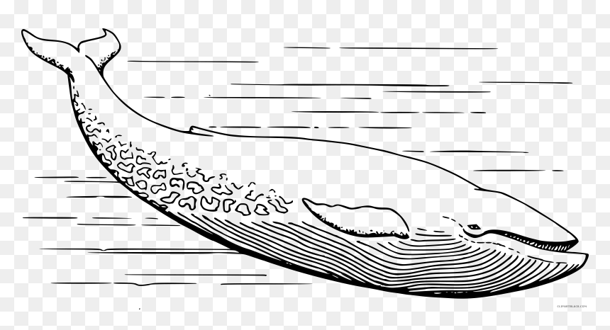 Blue Whale Clipart - Blue Whale For Coloring, HD Png Download - cute whale png