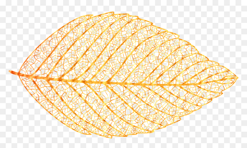 Esqueleto De Hoja Png, Transparent Png - daun png