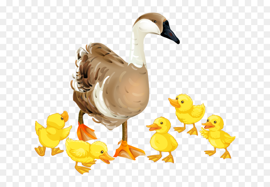 Transparent Canadian Goose Clipart - Goose With Baby Clipart, HD Png Download - baby hair png