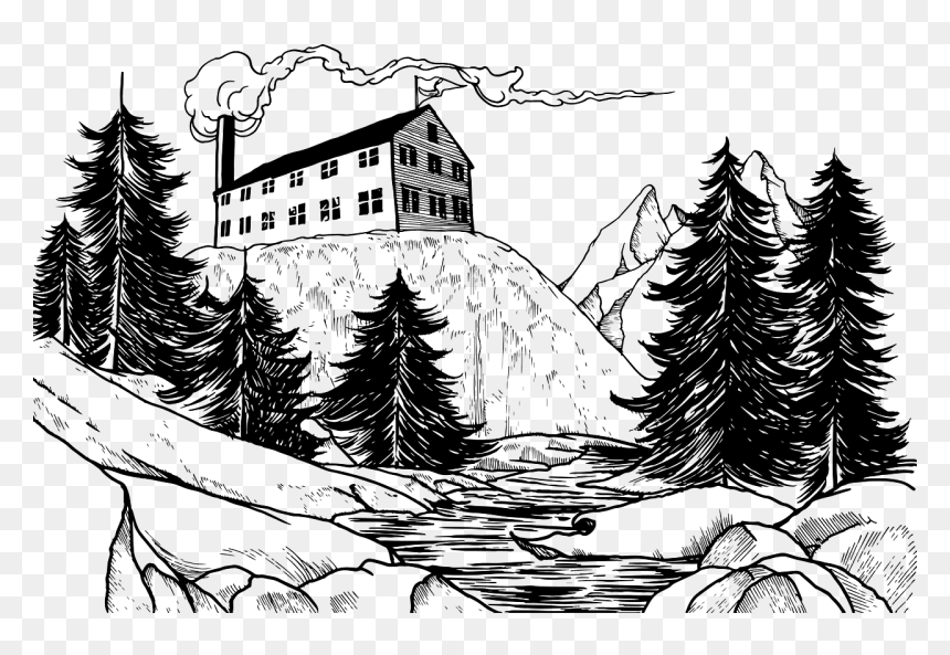 Burial Beer Forestry Camp, HD Png Download - pine tree top view png