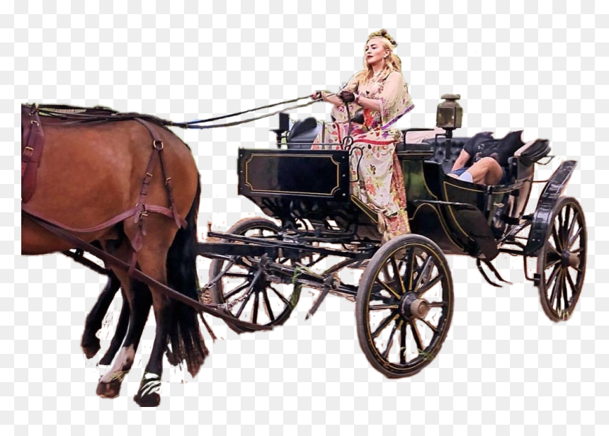 #maddona #carruagem #carriage #cars #horses #horse - Horse Cars, HD Png Download - horse and carriage png