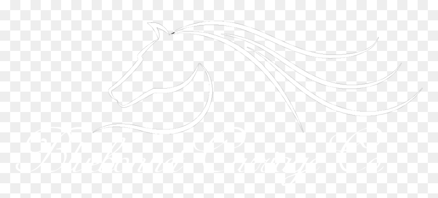 Bluebonnet Carriage Company - Stallion, HD Png Download - horse and carriage png