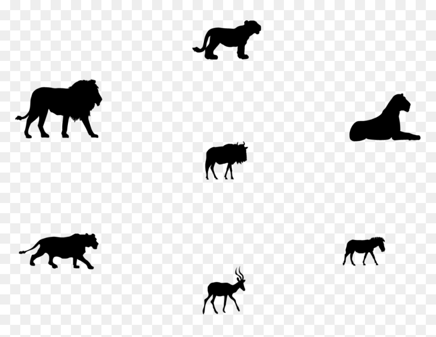 I Used Theses Elements Above To Portray The Information, HD Png Download - lion cub png