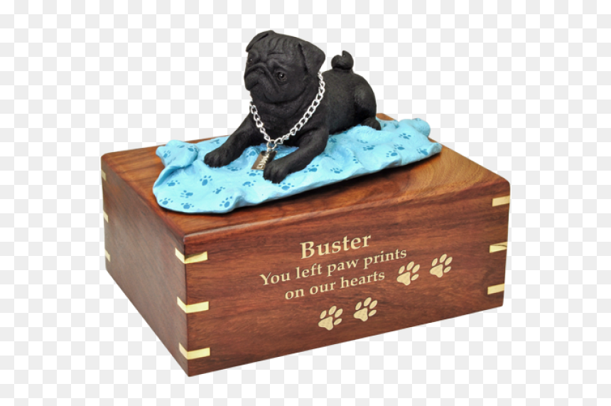 Siberian Husky, HD Png Download - black pug png