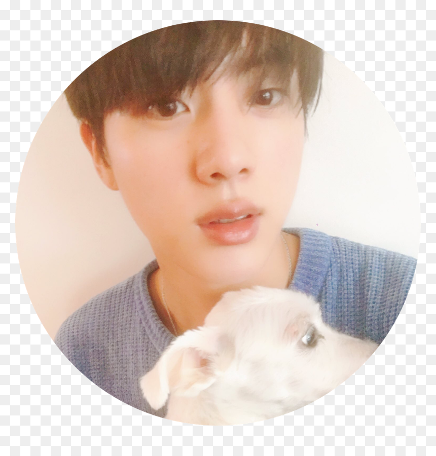 Jin Bts Tumblr - Jin Png, Transparent Png - bts png tumblr