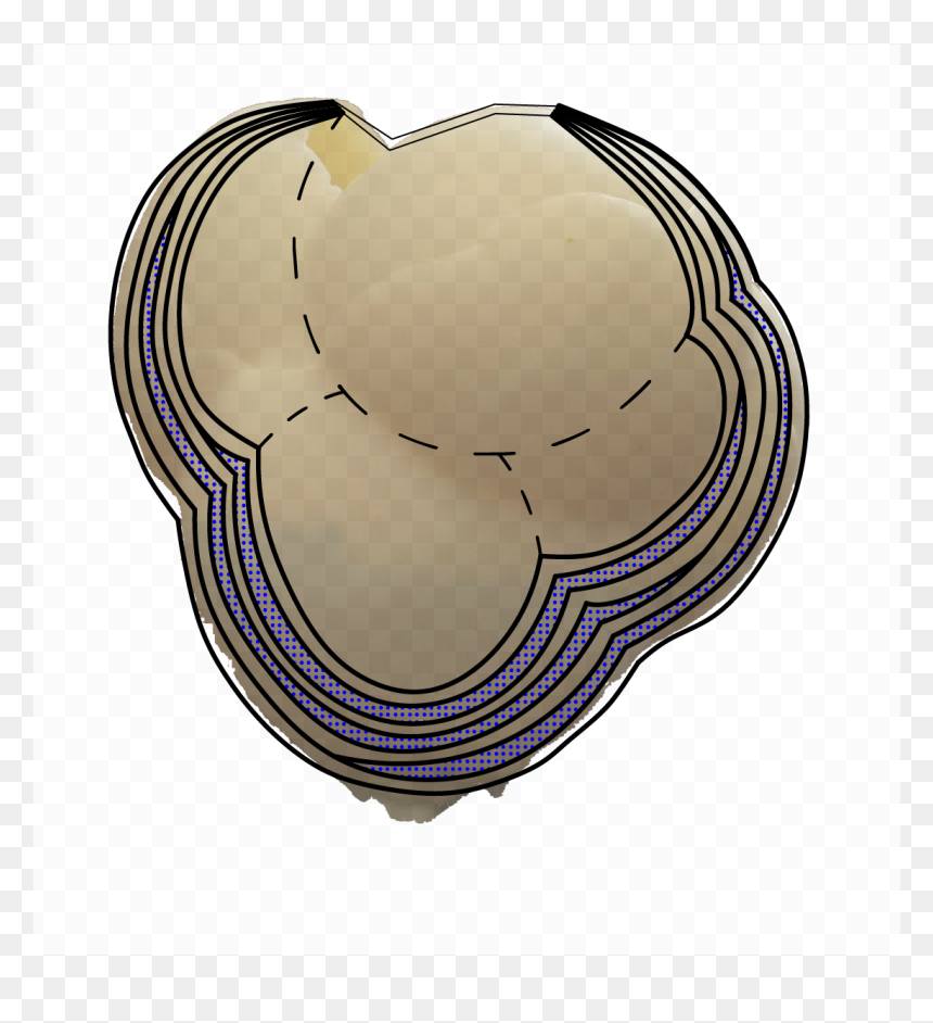 Circle, HD Png Download - deflated balloon png