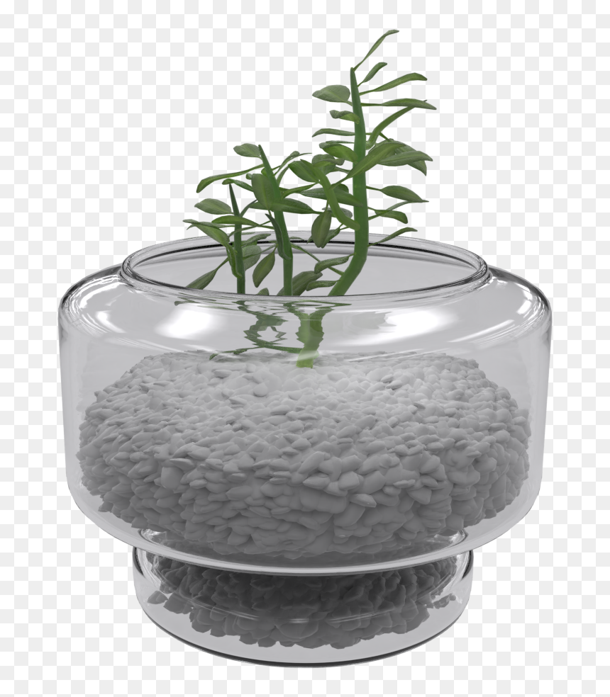 Houseplant, HD Png Download - plants in plan png