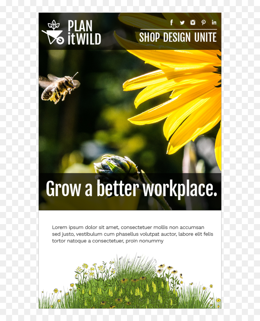 Piw 0011, HD Png Download - plants in plan png