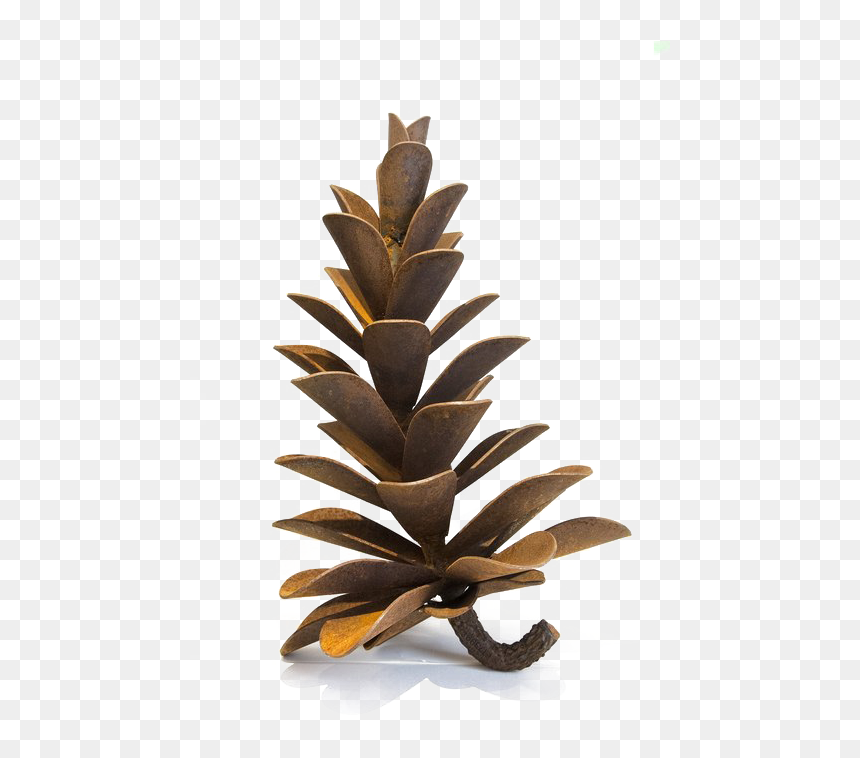 Pine Cone Transparent Images - Christmas Tree, HD Png Download - conifer png